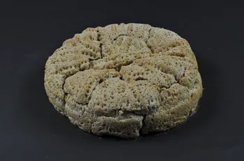 Athni Prassou ; Eugénie Vassiliou pain Grèce 2004/11/11 2004.132.4  Photo Mucem