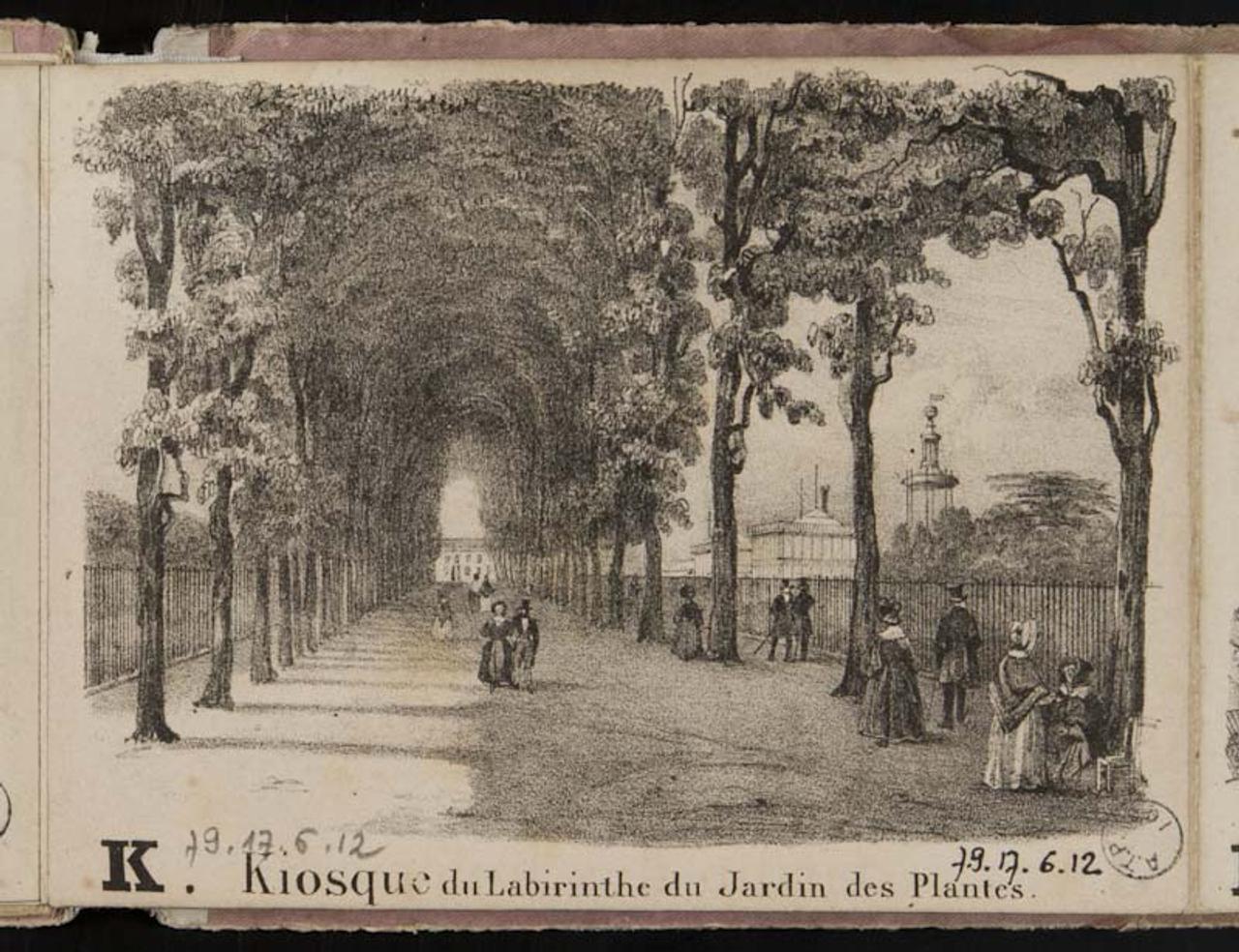album K. Kiosque du labirinthe du jardin des Plantes. 1979.17.6.12 Photo Mucem