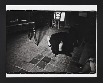 André Martin tirage photographique Femme racontant et mimant sa vision du diable Sicile, Italie 1958 2024.1.24  Photo Mucem / Marianne Kuhn