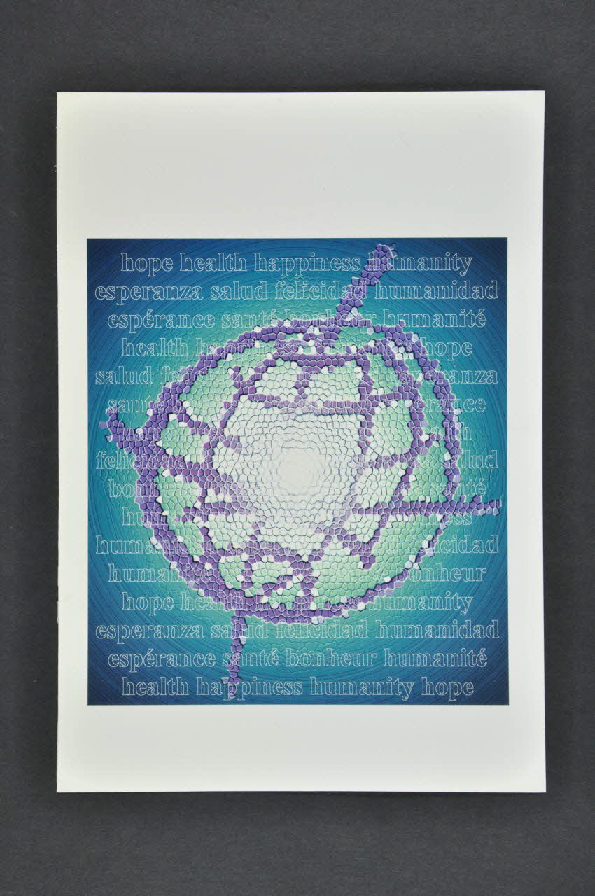 Agihas carte de voeux Lettonie 2005 2005.121.40.19 Photo Mucem