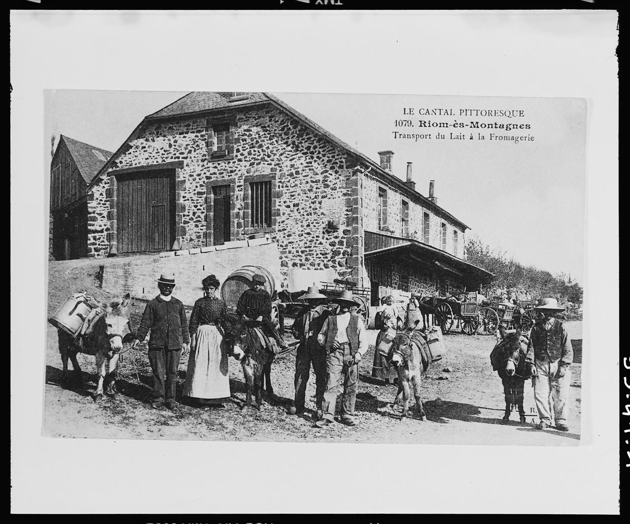 photographie Transport du lait à la fromagerie (cp 009404) Ph.1999.41.1 Photo © Musée des Civilisations de lEurope et de la Méditerranée/Anonyme