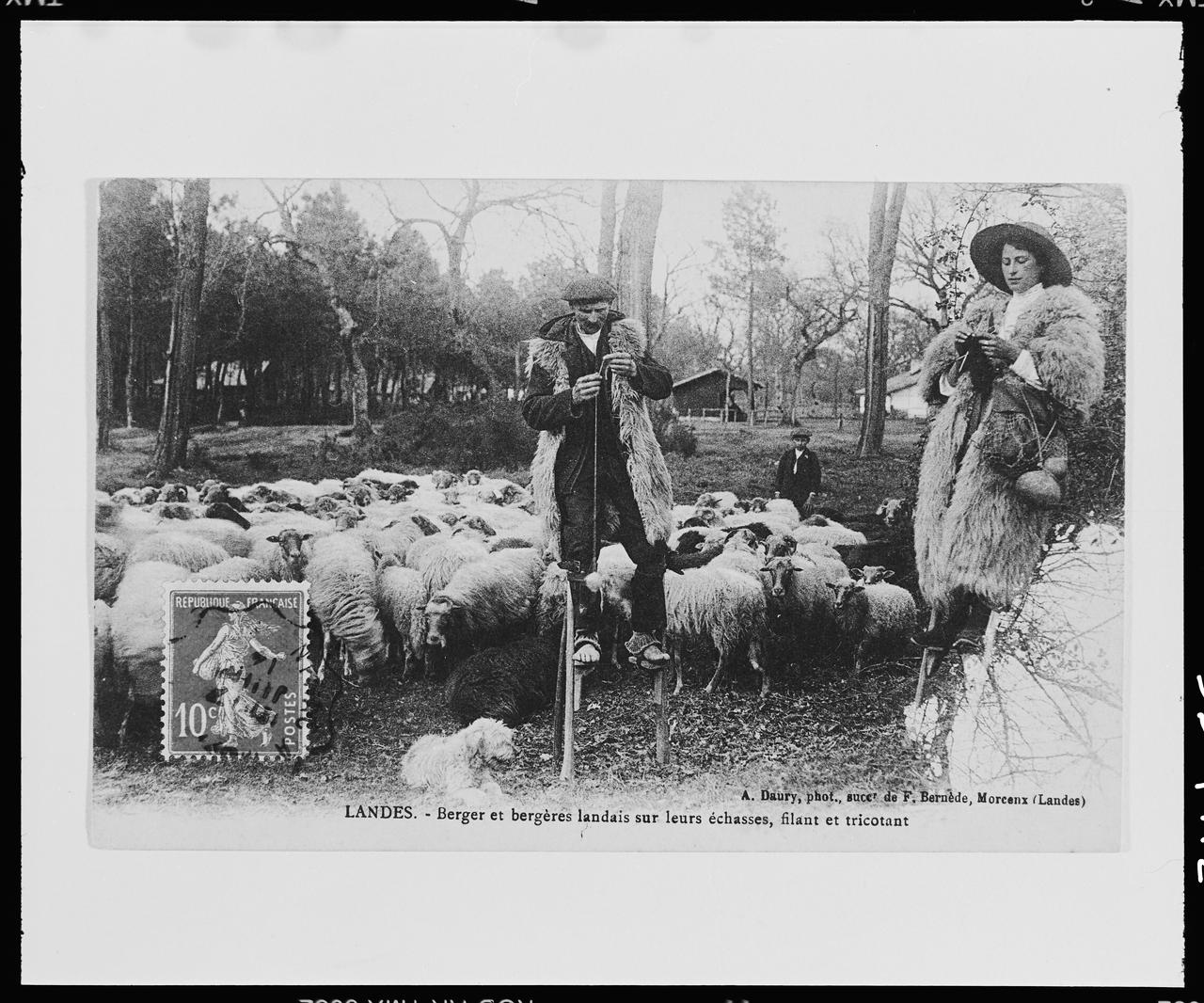 photographie Berger et bergere landais sur leurs echasses, filant et tricotant (cp 027919) Ph.1999.41.2 Photo © Musée des Civilisations de lEurope et de la Méditerranée/Anonyme
