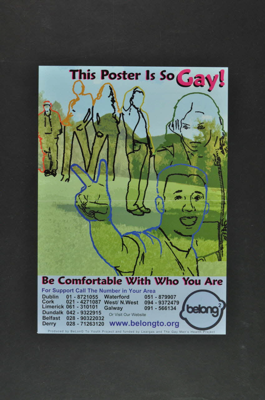 affiche "This poster is so gay !" (Ce poster est si gay) Irlande 2005 2005.174.1 Photo Mucem