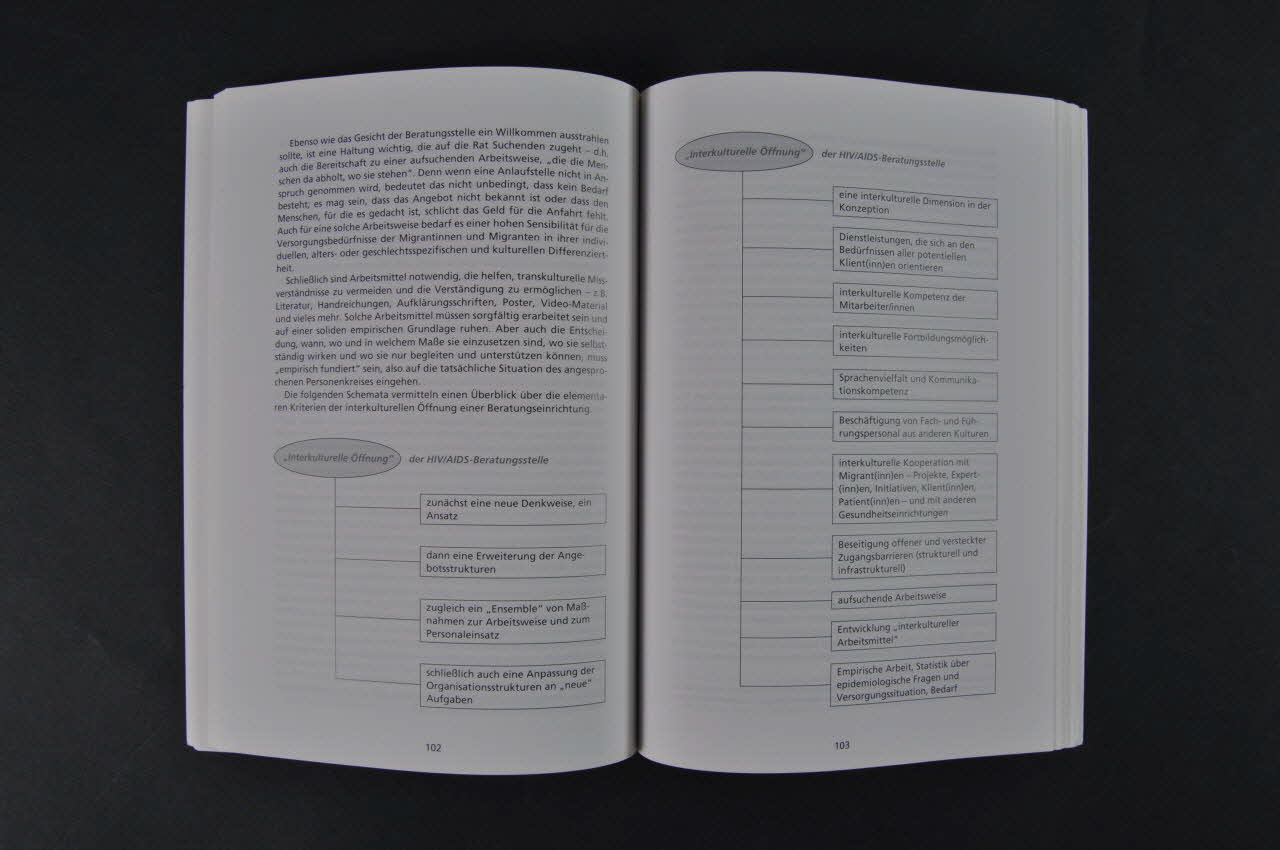 Deutsche Aids-Hilfe livre AIDS-Forum DAH. Band 41 :  "AIDS und Migration"  (Sida et migration) Allemagne 2000 2003.111.188 Photo Mucem