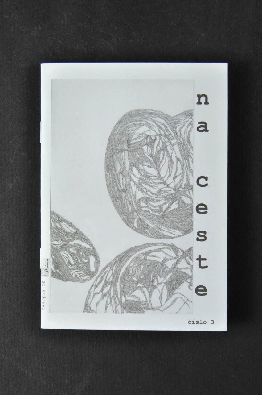 Bulletin d'information "Na ceste", n° 3 2005.177.14 Photo Mucem