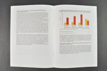 Monitoring The Aids Pandemic (Map) BROCHURE Le sida en Asie : faire face aux faits International 2004 2004.204.10  Photo Mucem