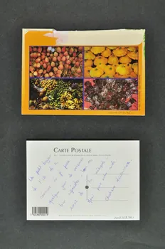 Hôpital Pasteur - Personnel et malades carte postale France 1999 2003.123.36.1-2 Photo Mucem
