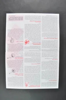 Coordination Genevoise Des Associations De Lutte journal Bulletin associatif  Ciblé sida, n° 10 Lorraine, France 2004 2004.205.26 Photo Mucem