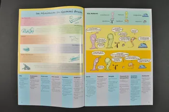 Aids Info Winterthur BROCHURE "Liebesex und soweiter" (traduire) Lorraine, France 2003 2004.205.9 Photo Mucem