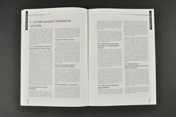 Onusida BROCHURE "Etude de cas sur l'estimation de l'infection à VIH dans une épidémie concentrée . Leçons tirées de l'exemple indonésien" Lorraine, France 2004 2004.206.46  Photo Mucem