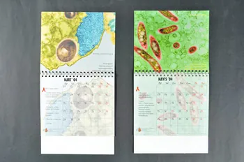 Cinsel Saglik Egitim & Danisma Markezi, Hatam calendrier Calendrier 2004 Turquie 2004 2005.185.10.1-2 Photo Mucem