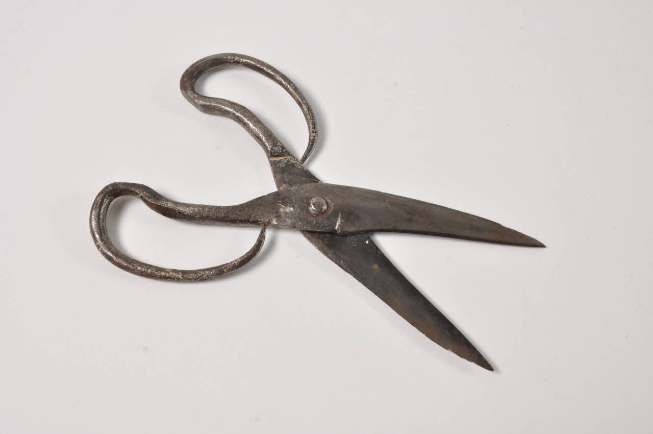 CISEAU A TONDRE LES MOUTONS 1952.52.10 Photo Mucem