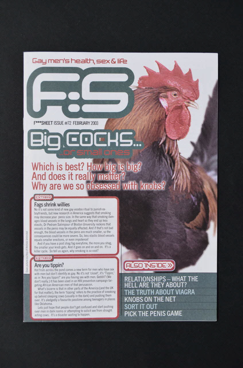 Gay Men Fighting Aids revue Journal associatif "F***sheet", n°72 février 2003 "Big cochs... or small ones" (De grands ou de petits coqs) Grande Bretagne 2003/2 2003.131.54 Photo Mucem