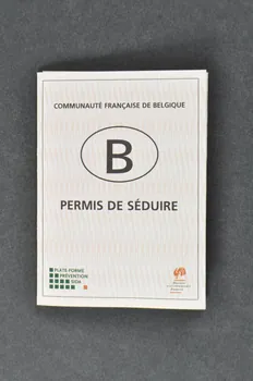 Préservatif Permis de séduire 2004.216.20 Photo Mucem