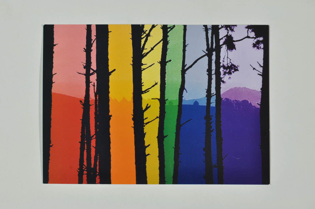 Accept carte postale "Accept diversitatea" (Acceptez la Roumanie 2004 2004.218.7 Photo Mucem