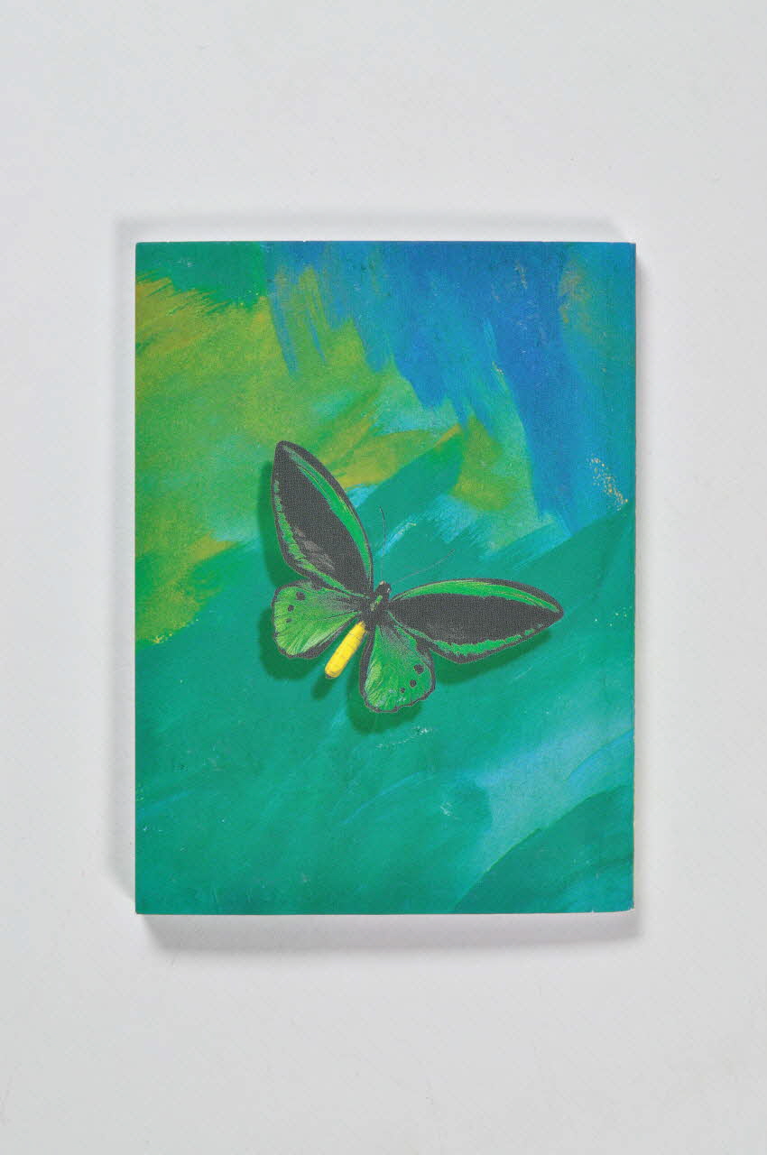 Siberian Initiative BROCHURE Comment préserver sa santé ? (pour les prostituées) Russie 2004 2004.224.15 Photo Mucem