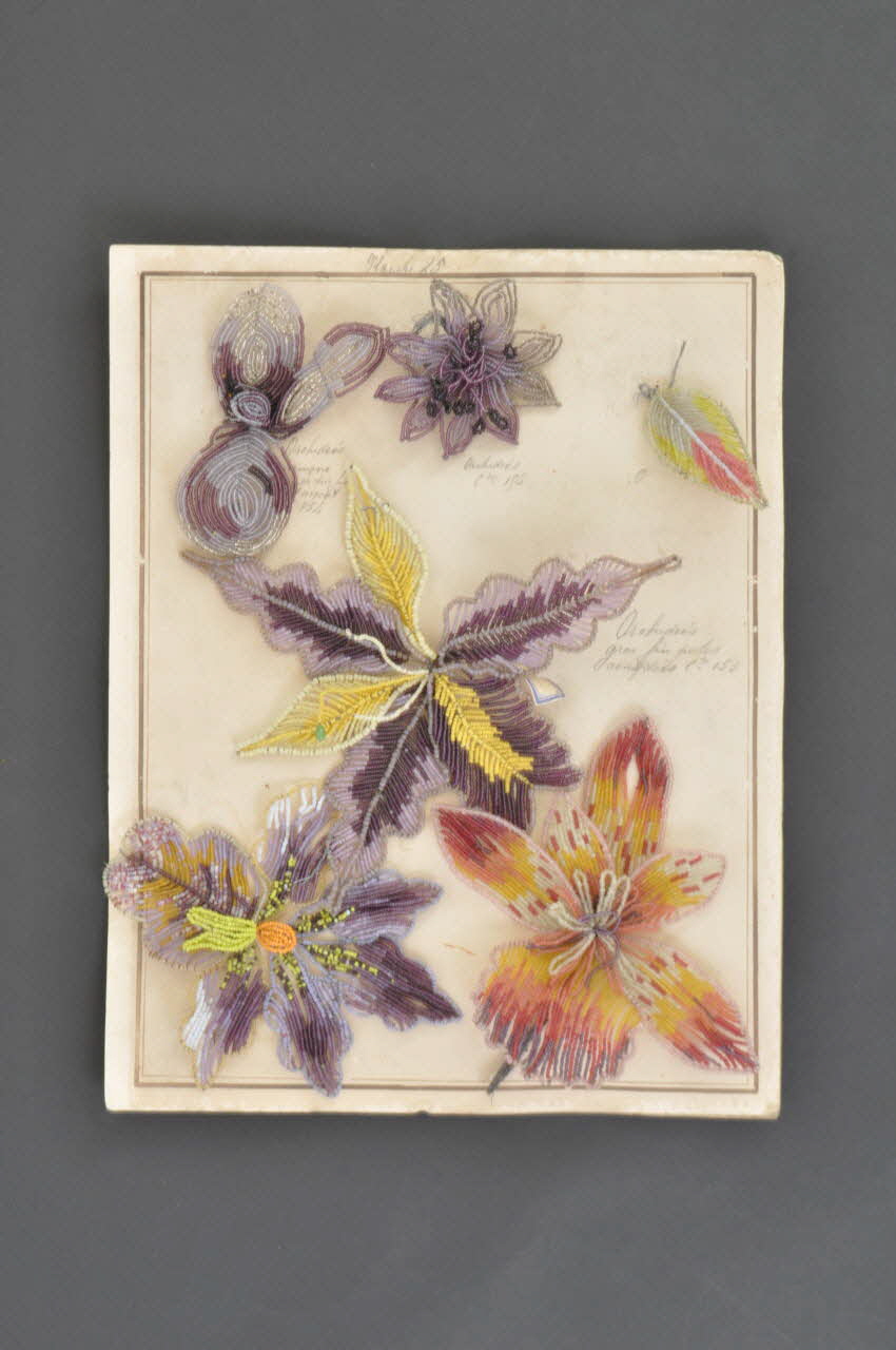 planche d'échantillons Midi-Pyrénées, France 1880-1930 2005.5.3.1-2 Photo Mucem