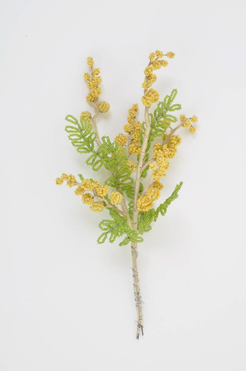 échantillon Midi-Pyrénées, France 1880-1930 2005.5.6 Photo Mucem