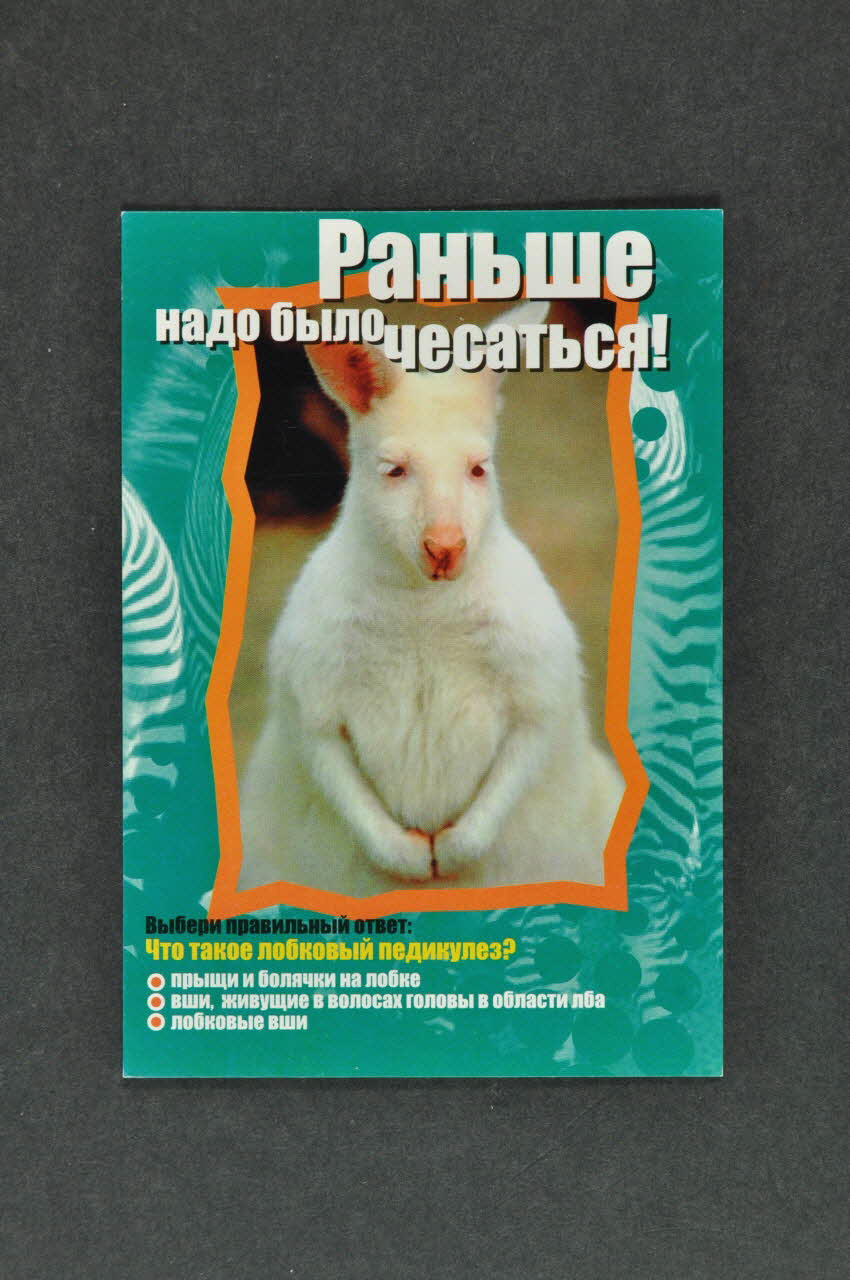 Siberian Aids Aid Charitable Fund / Croix Rouge flyer Sibérie 2001 2004.236.18 Photo Mucem