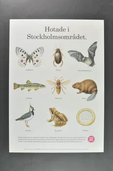 affiche "Hotade i Stockholmsomradet"  (traduction) 2005.35.3 Photo Mucem