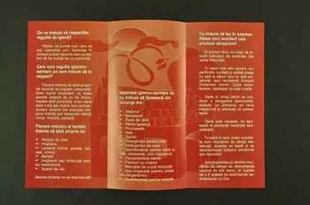 Romanian Angel Appeal Dépliant "Reguli igienico-sanitare de respectat in familie" (Règles hygiénico sanitaires à respecter en famille) Roumanie 2002 2004.237.20 Photo Mucem