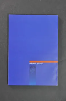 Global Network Of People Living With Aids (Gnp+) BROCHURE "Desarollo positivo" (Développement positif) (en italien) Pays-Bas 1998 2005.45.13 Photo Mucem