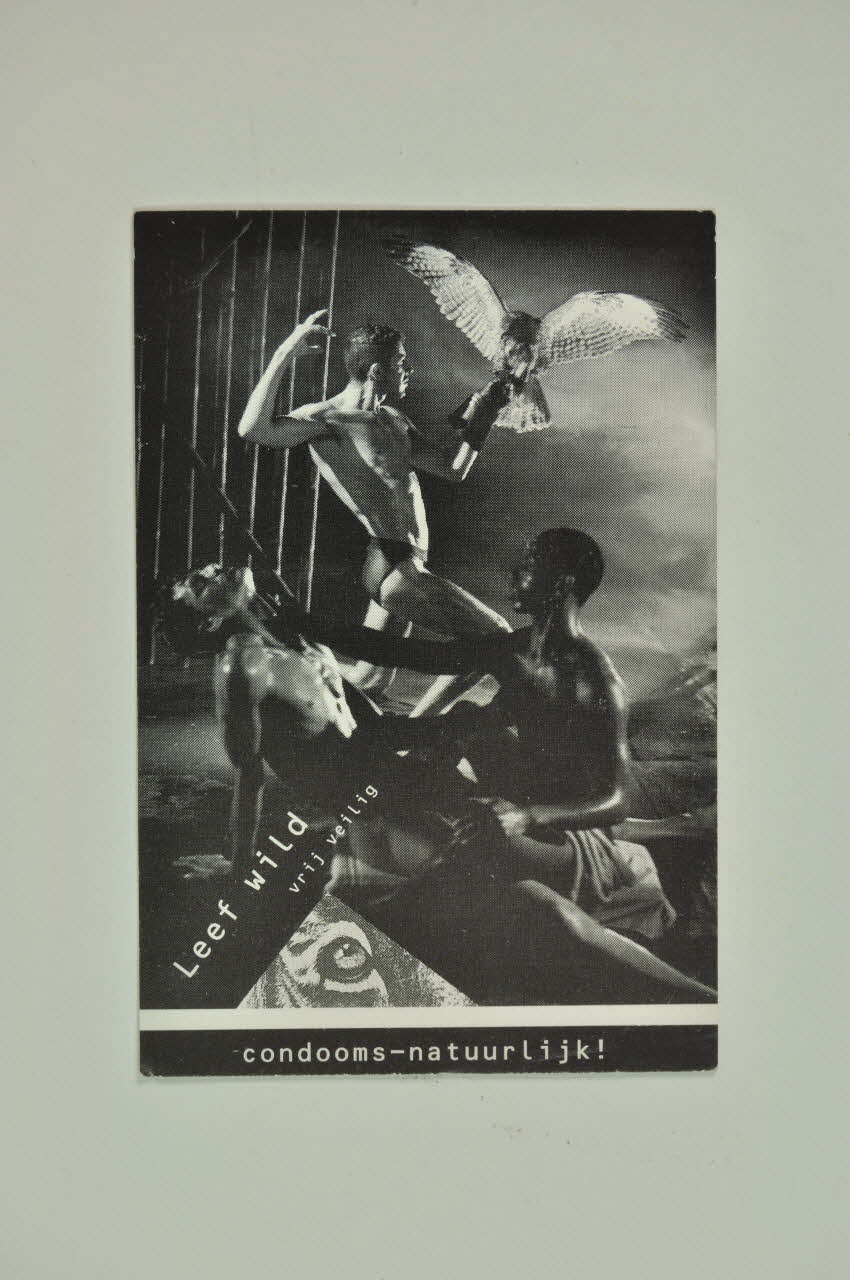 carte " "Leef wild. Vrij veilig" (Vie sauvage. safe sex) 2005.47.100 Photo Mucem