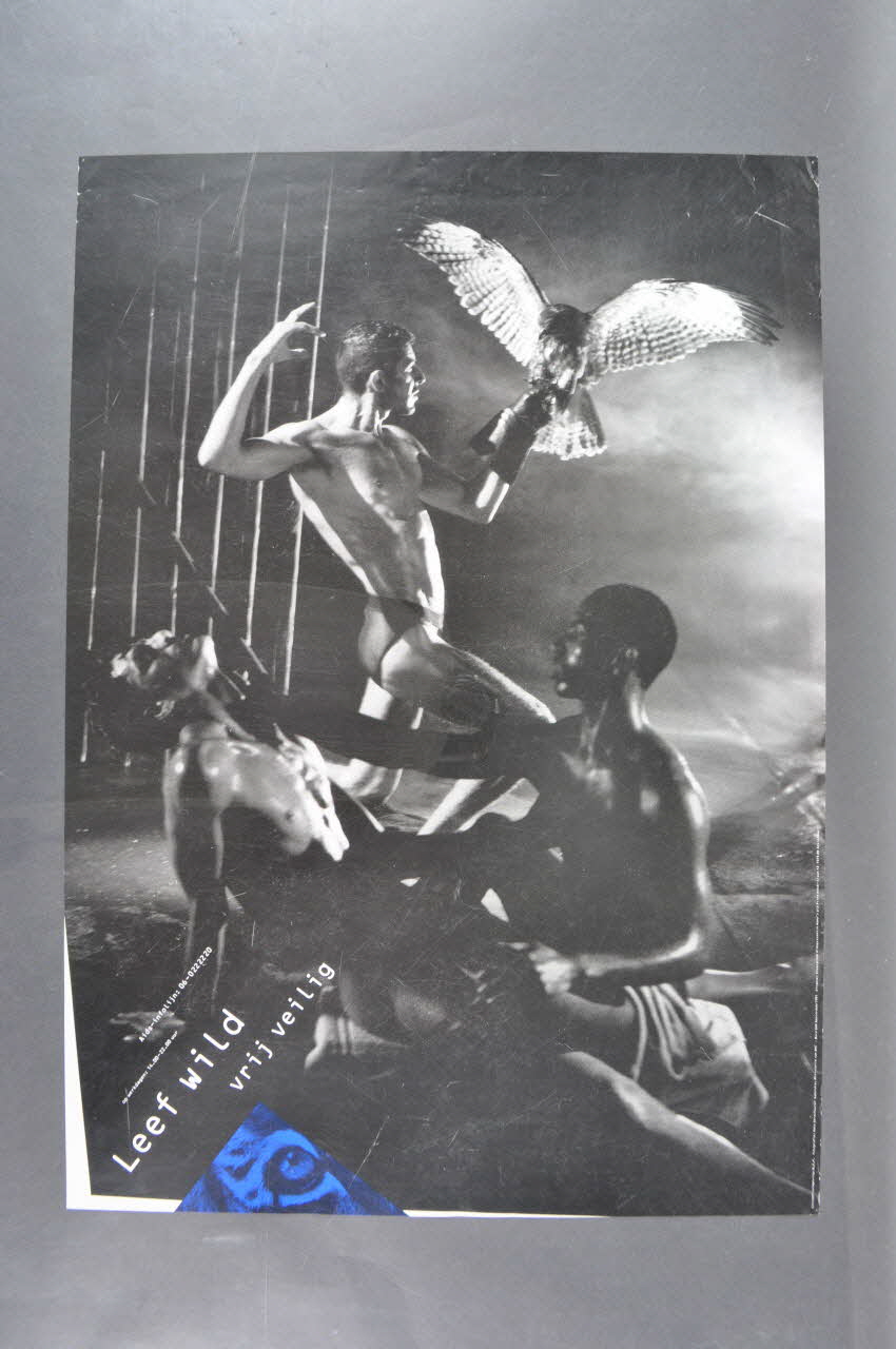Stuurgroep Aidspreventie Homo's affiche "Leef wild. Vrij veilig" (Vie sauvage. safe sex) Pays-Bas 1991 2005.47.225 Photo Mucem