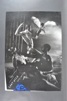 Stuurgroep Aidspreventie Homo's affiche "Leef wild. Vrij veilig" (Vie sauvage. safe sex) Pays-Bas 1991 2005.47.225 Photo Mucem