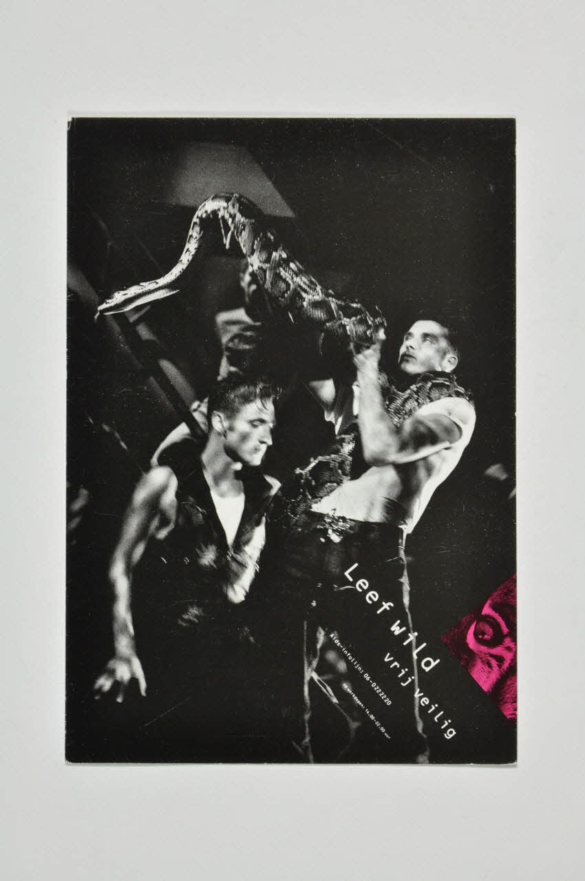 Stuurgroep Aidspreventie Homo's carte postale "Leef wild. Vrij veilig" (Vie sauvage. safe sex) Pays-Bas 1987 2005.47.93 Photo Mucem