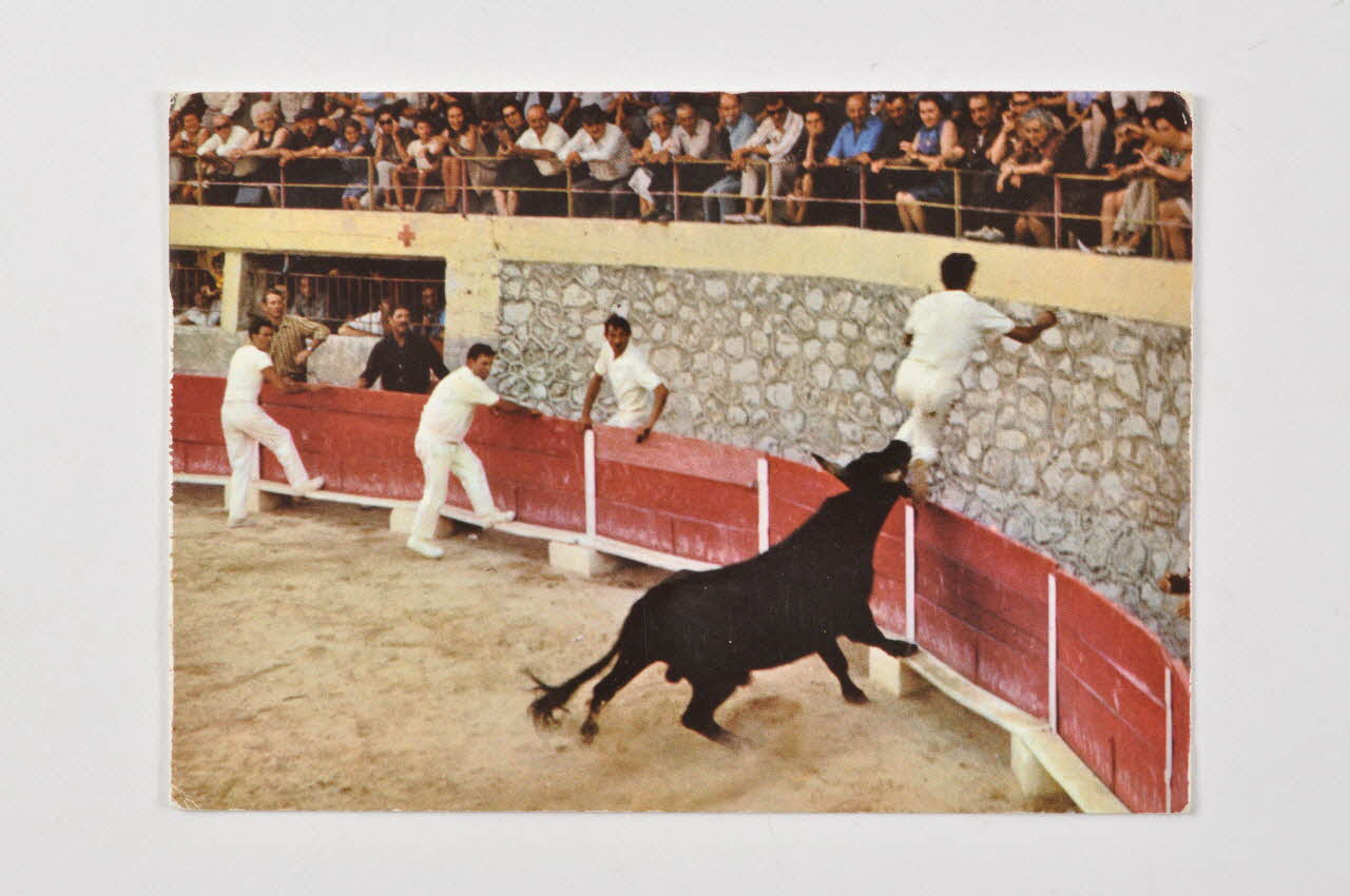 carte postale Course provençale aux arènes 2004.300.20 Photo Mucem