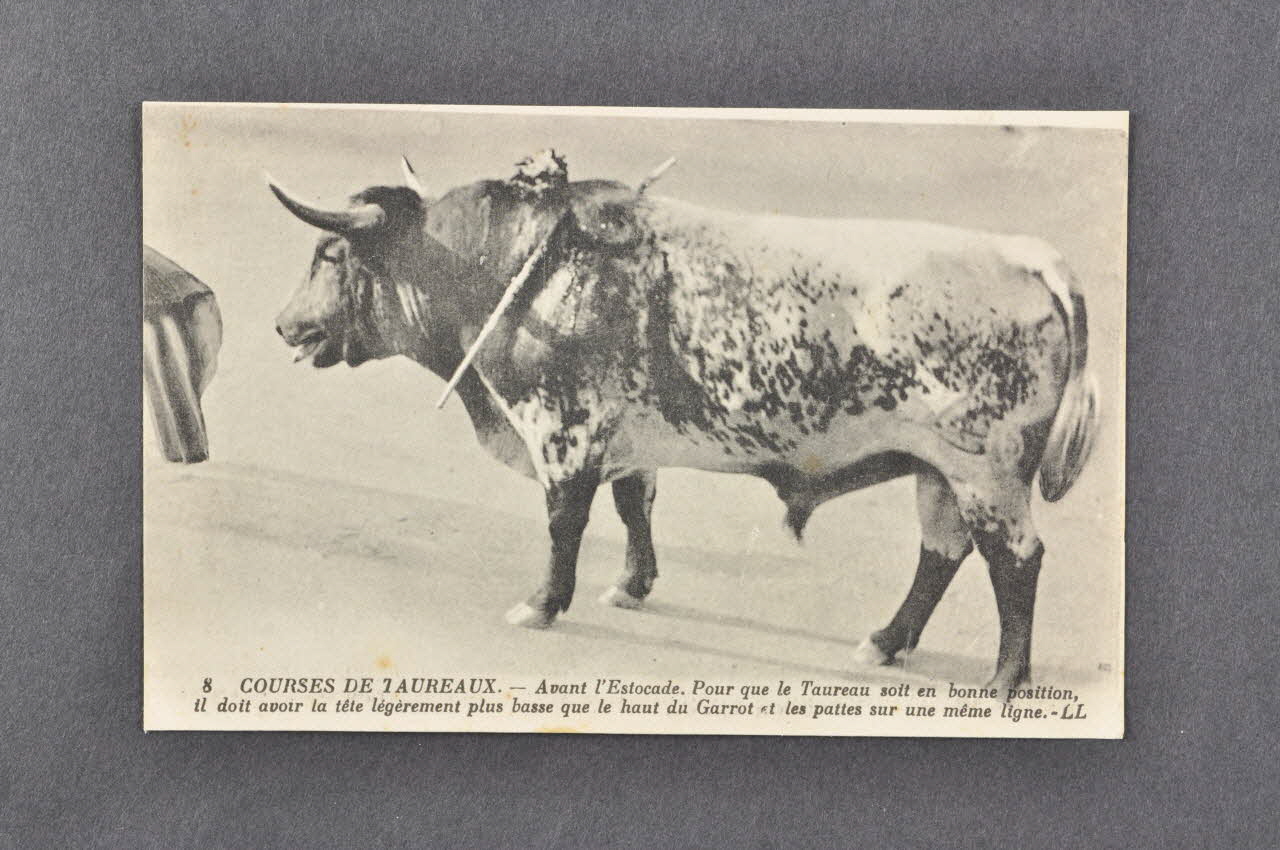 carte postale Course de taureaux. Avant l'estocade 2004.300.6 Photo Mucem
