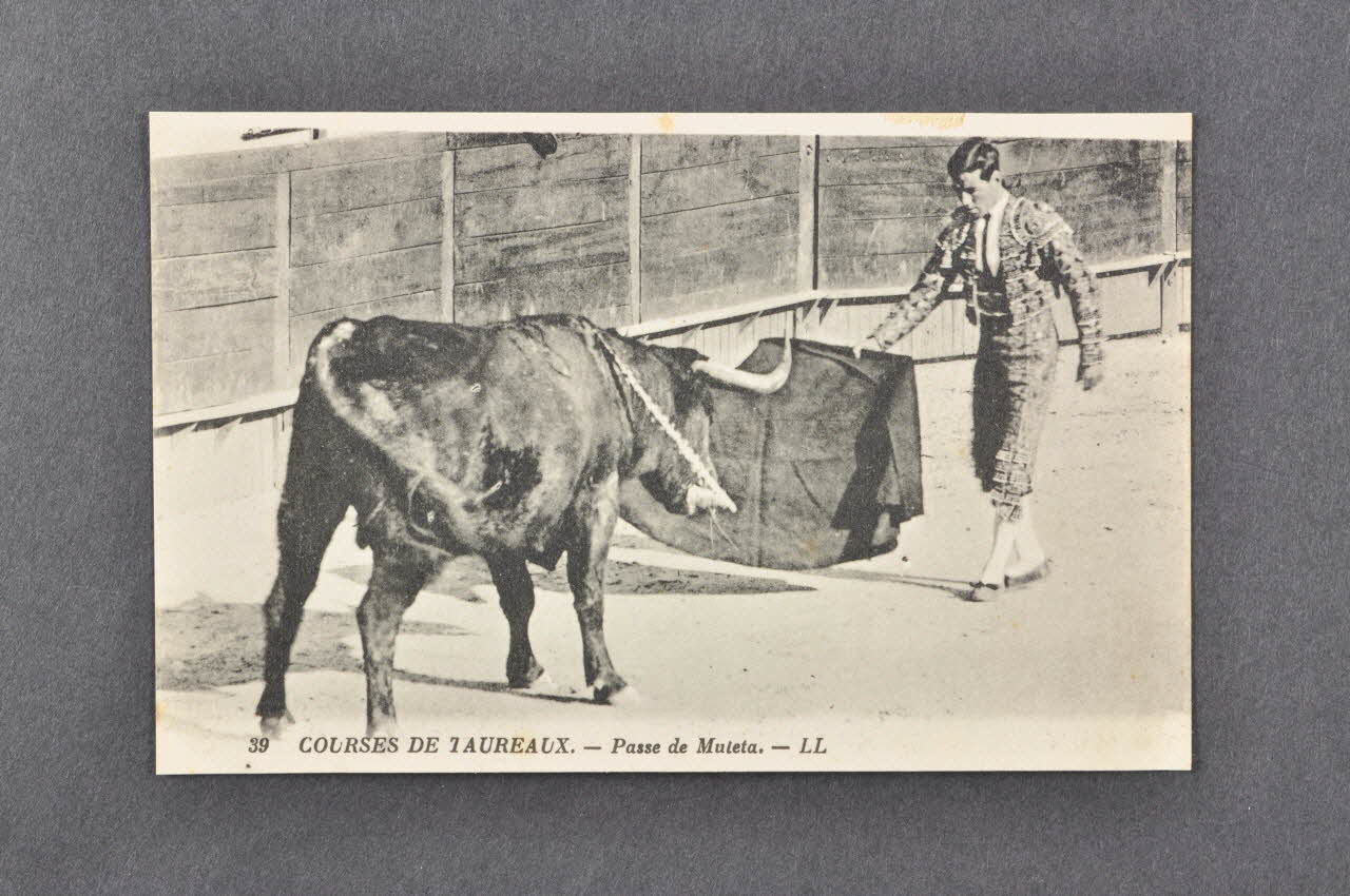 carte postale Course de taureaux. Passe de la muleta 2004.300.7 Photo Mucem