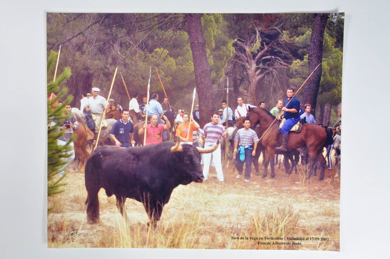 Alberto de Jesus Rodriguez photographie Toro de la Vega en Tordesillas - Valladolid Castille-et-Leon, Espagne 2002 2003.52.9.2 Photo Mucem