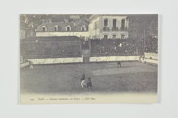 reproduction de carte postale 145 DAX. - Courses Landaises, un Ecart. 2004.312.50  Photo Mucem