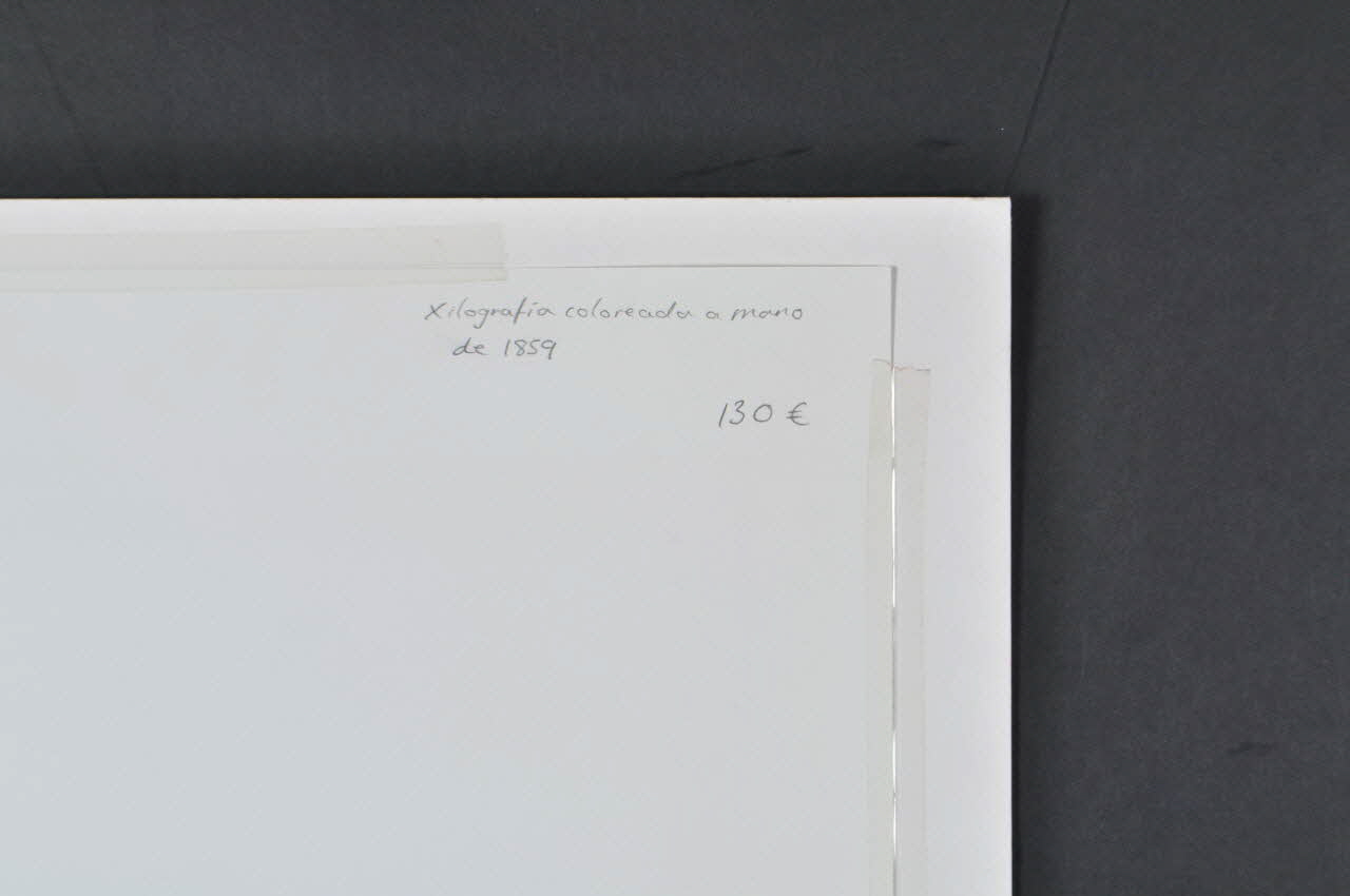 gravure The fair at Seville 1859 2003.74.3 Photo Mucem