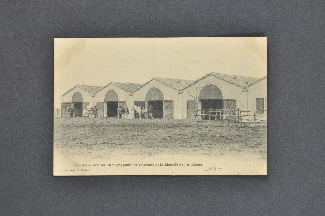 carte postale 107 - Dans la Crau - Refuge pour les Taureaux de la Manade de l'Audience 2004.317.2 Photo Mucem