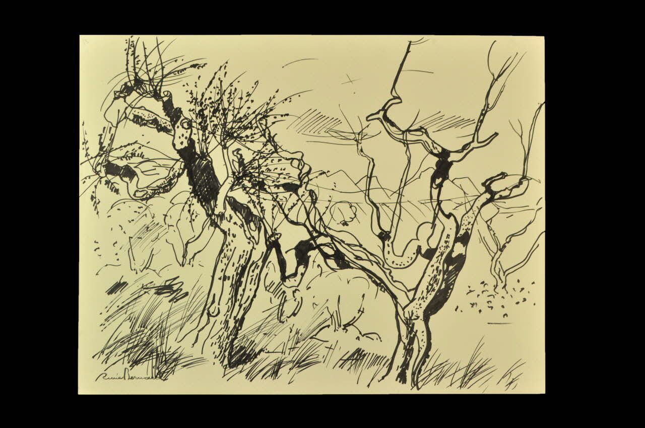 dessin 2004.35.130 Photo Mucem