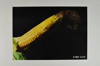Aids-Hilfe Suisse affiche Stop AIDS (épi de maïs) Lorraine, France 2004 2004.48.17 Photo Mucem