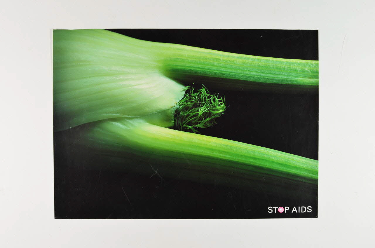 Aids-Hilfe Suisse affiche Stop AIDS (fenouil) Lorraine, France 2004 2004.48.18 Photo Mucem