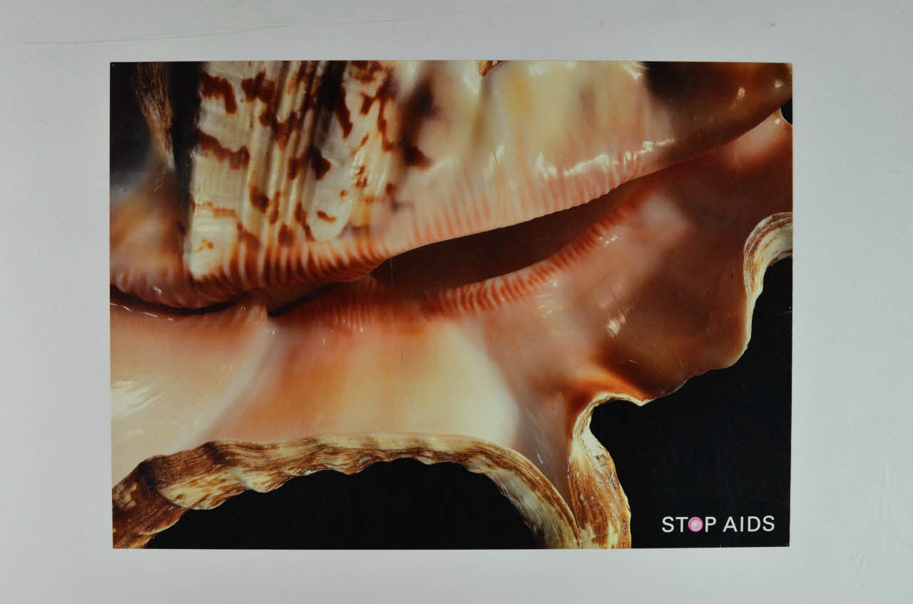 Aids-Hilfe Suisse affiche Stop AIDS (coquillage) Lorraine, France 2004 2004.48.20 Photo Mucem
