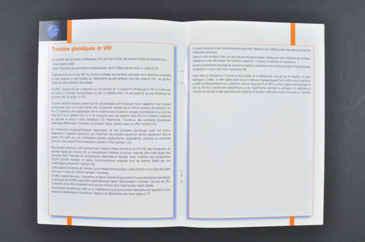 BROCHURE Synopsis, vue d'ensemble : troubles glucidiques 2003.99.29 Photo Mucem