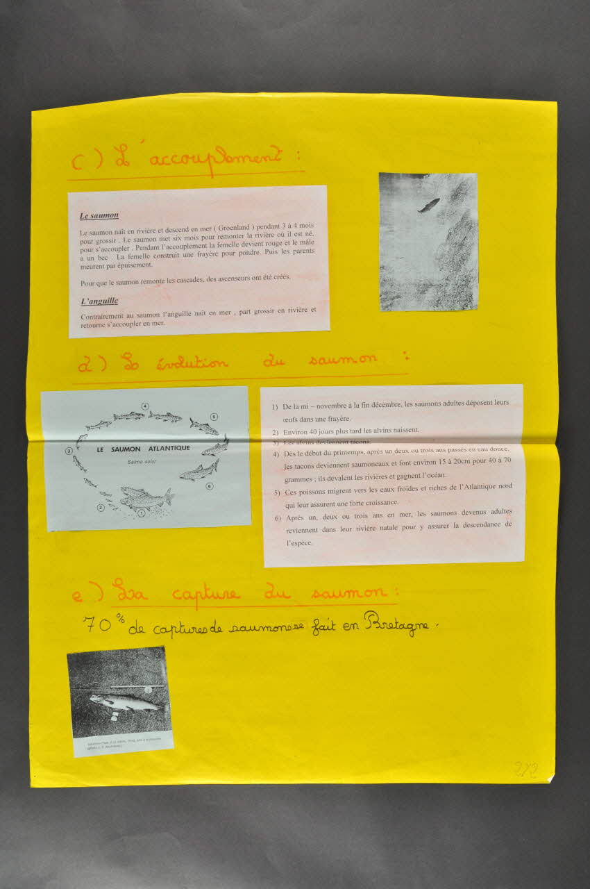 panneau Panneau préparé par  la classe de CE2- CM1 de Logonna-Daoulas ( école publique) 2006.176.32.2 Photo Mucem