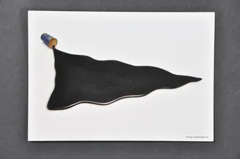 carte postale Support de communication de la Surfrider Foundation Europe 2006.55.16.2 Photo Mucem