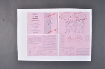 Nemzeti Egeszégvédelmi Intezet (NEVI) BROCHURE Brochure "Lanyornak Lanyok Lanyokrol" (éducation sexuelle pour les filles) Hongrie 2006 2006.72.32.1-3  Photo Mucem