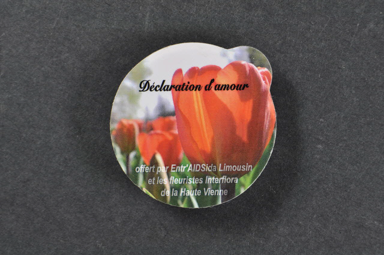 Entr'aidsida Limousin Et Les Fleuristes Interflora Préservatif "Déclaration d'amour 2" (tulipes) France 2006 2006.81.16 Photo Mucem