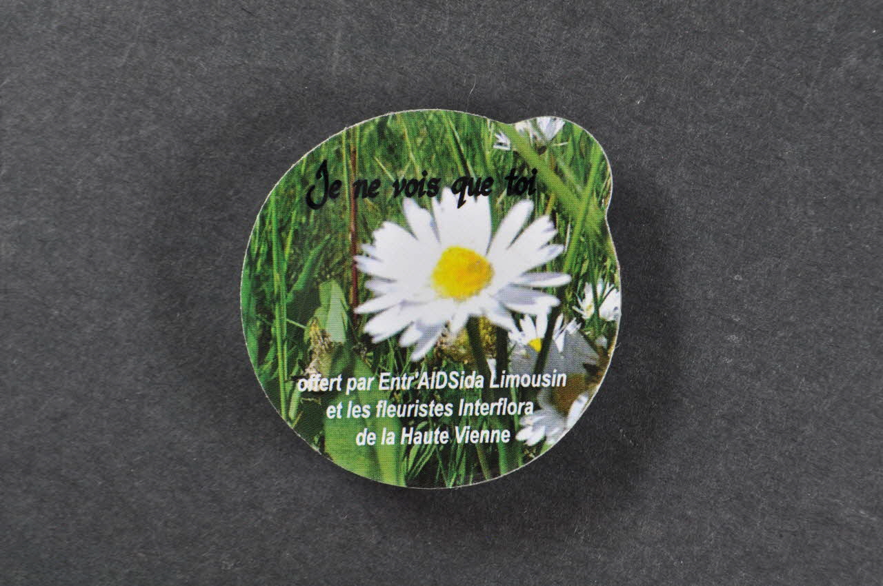 Entr'aidsida Limousin Et Les Fleuristes Interflora Préservatif "Je ne vois que toi 2" (marguerite) France 2006 2006.81.18 Photo Mucem