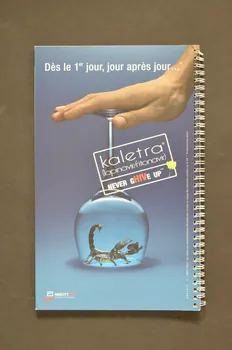 Laboratoires Abbott BROCHURE "Kaletra. Never gHIVe Up" France 2004/1/30 2008.32.169 Photo Mucem