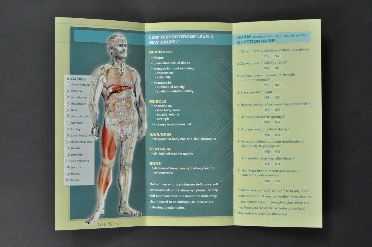 Solvay Pharma Dépliant "Low testosterone and the aging male" (Faible taux de testostérone chez l'homme vieillissant) International 2006/8 2008.32.88 Photo Mucem