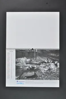 Aids Foundation East-West (Afew) Et Unicef calendrier "Street children in Ukraine" (Enfants de le rue en Ukraine) Fédération de Russie 2006 2008.68.3 Photo Mucem
